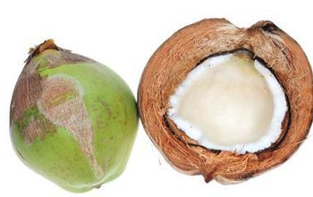 Coconut (whole) and cross-section